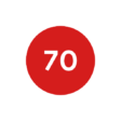 Red Circle 70 Icon